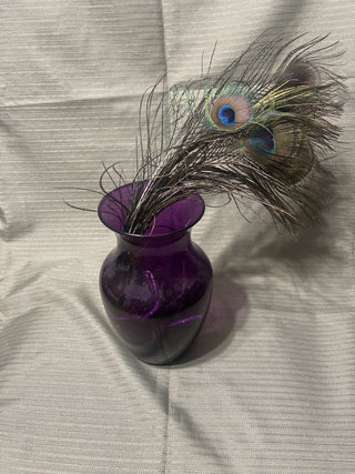 purple Vase with peacock feathers rsv