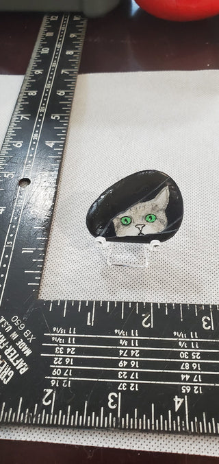 P.R.#217 cat in black blanket|51331