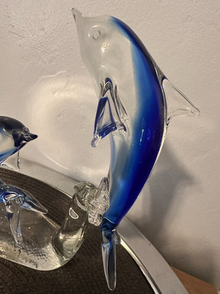 Dolphin Murano Two playing MTS|91402