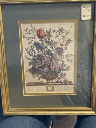 Elegant Floral Print Matted in Gold Frame - SNGL|74111