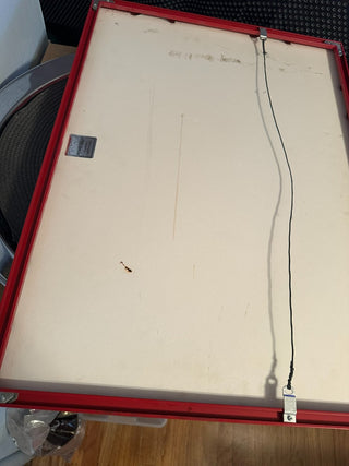 Harlem Globetrotters Framed 2002 MTS|109632