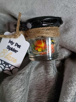 My pet spider rsv|100798
