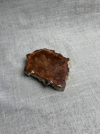 Petrified Wood Slab