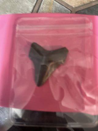 mag Tooth, black and color rsv