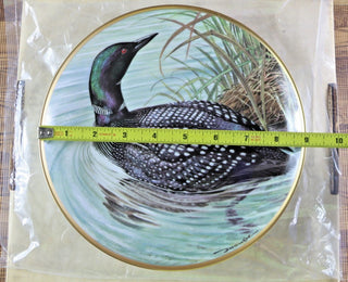 Franklin Porcelain Water Birds of the World Great Northern Diver 1981 #47 VV MTS|99438