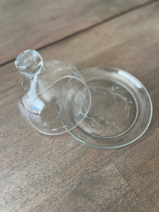 Etched glass dome cloche|55501