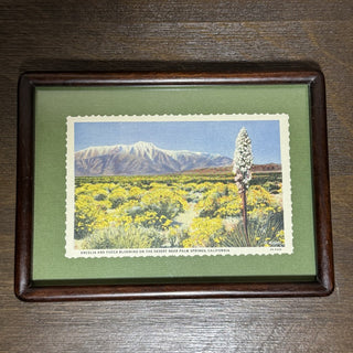Framed Vtg Palm Springs Desert Postcard MTS|102319