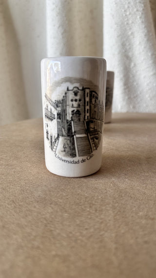 Guanajuato, MEX Tumbler (LZD - RSV)|73464