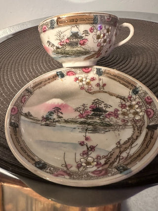 Vintage Teacup/Saucer China Pink Blossom Trim MTS