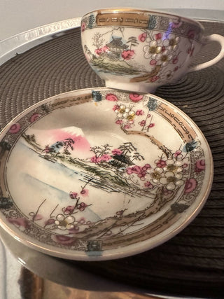 Vintage Teacup/Saucer China Pink Blossom Trim MTS