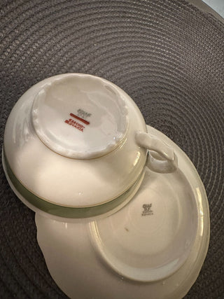 Vintage Teacup/ Saucer Epiag Czecho MTS