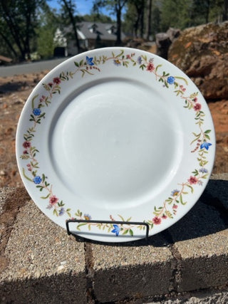 JP SINGLE BIA Cordon Bleu Margot Dinner Plate