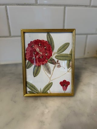 Small Gold Frame    MTS|123819