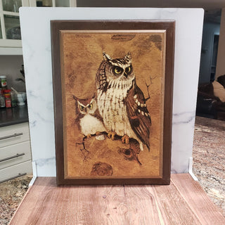 Art - Vtg Richard Hinger Screech Owl Print RSV
