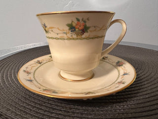 Vintage Tea Cup & Saucer Noritake MTS|135187