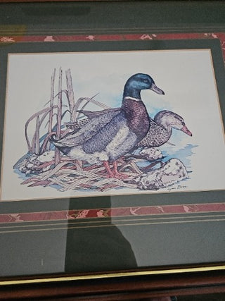 MTS-RM826-Lynn Bean Ducks