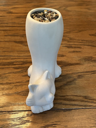 Cat Vase   MTS|99688