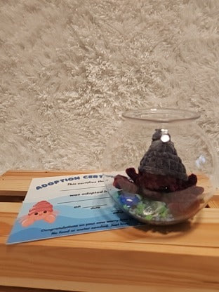 Aquatic Worry-free Pet: Hermit Crab- gray, dark red, round aquarium, gems, adoption certificate