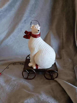 polar bear rsv|123406