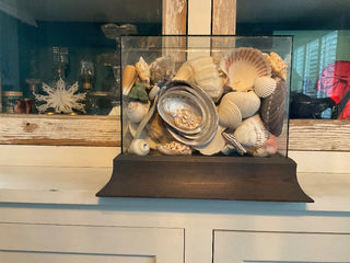 Vintage Seashell Music Box MTS