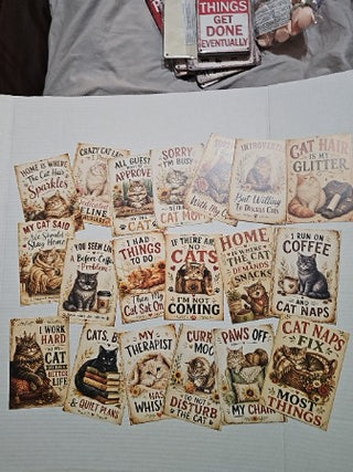Spoiled Cat Post Cards