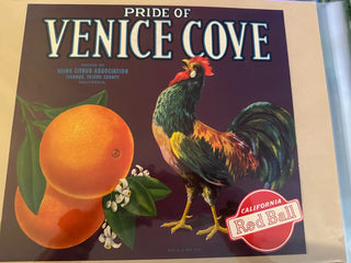 Pride of Venice Cove Authentic Citrus Farm Crate Label EC077-20 MTS|100367