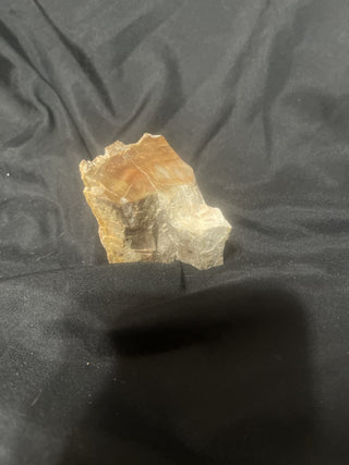 small petrified wood rsv