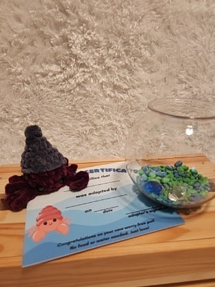 Aquatic Worry-free Pet: Hermit Crab- gray, dark red, round aquarium, gems, adoption certificate