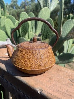 Japanese Cast Iron Tetsubin (Teapot) RCD