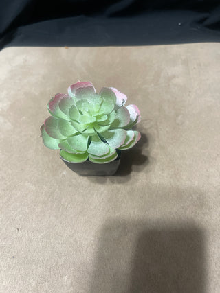 fake succulent