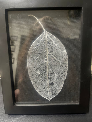 framed leaf