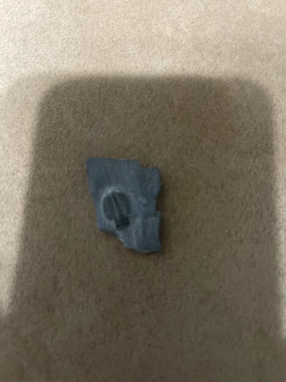 Small trilobite RSV