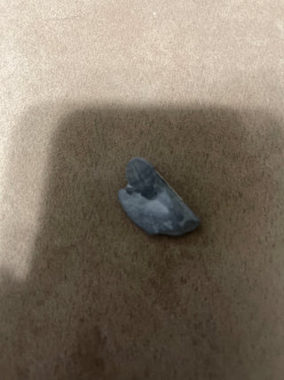 Small trilobite RSV