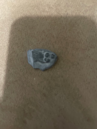 Small trilobite RSV