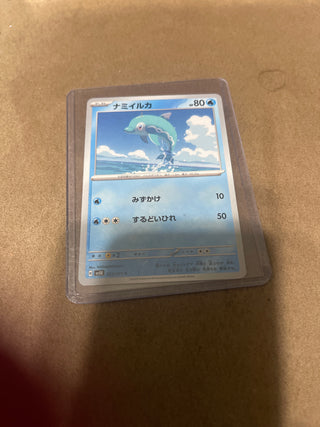 Pokémon dolphin