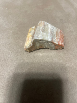 small petrified wood