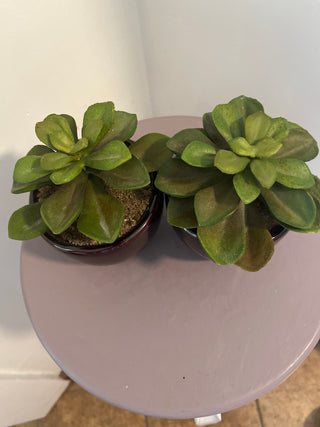Faux succulent in pot