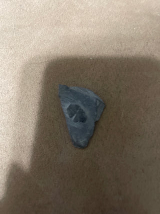 Small trilobite RSV