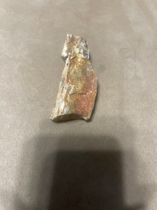 small petrified wood