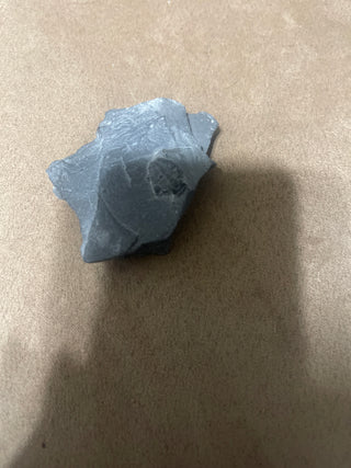 Small trilobite RSV