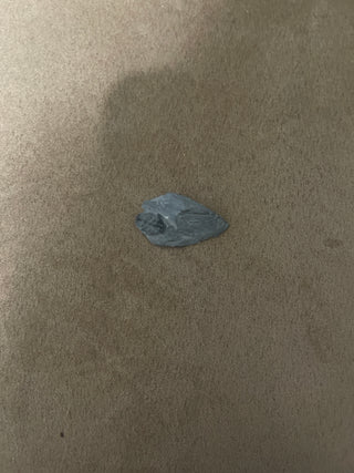 Small trilobite RSV