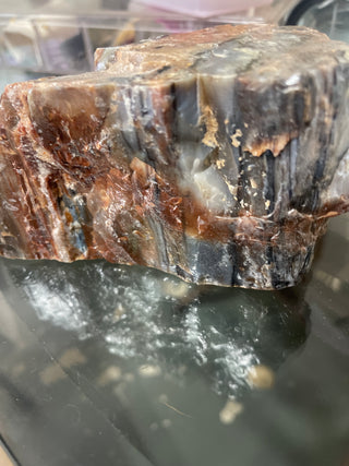 petrified wood, blue and bread