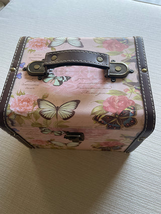 Butterfly carrying case makeup holder