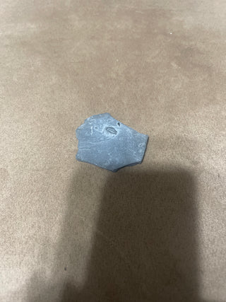 Small trilobite RSV