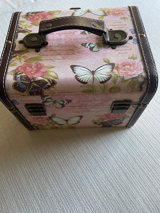 Butterfly carrying case makeup holder