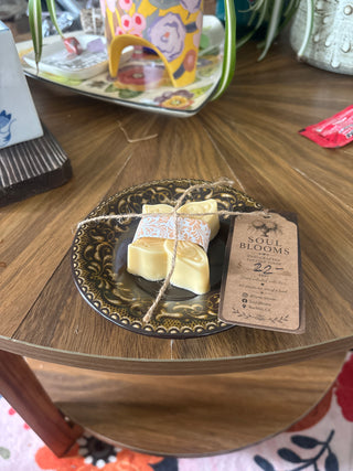 Soap with dish