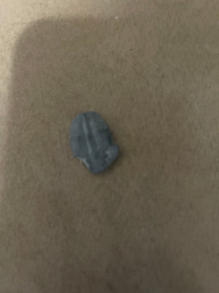 trilobite RSV