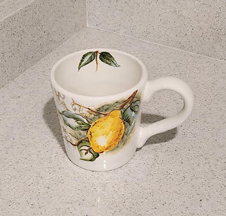 Maxcera Lemon Mug