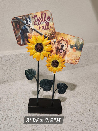 Sunflower Picture Clip